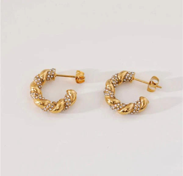 Donna Twisted Crystal Earrings